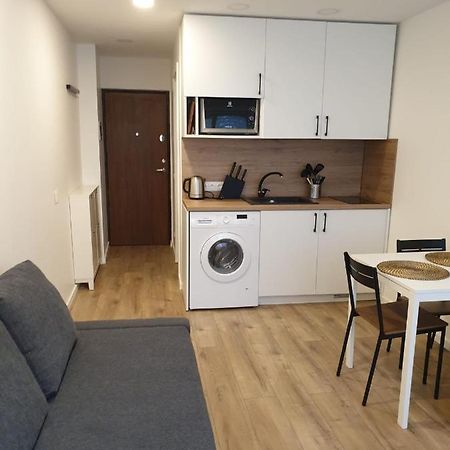 Studio Rent In Zarasai Eksteriør billede