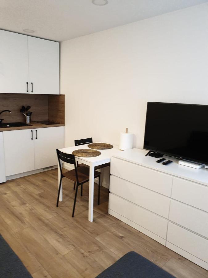 Studio Rent In Zarasai Eksteriør billede