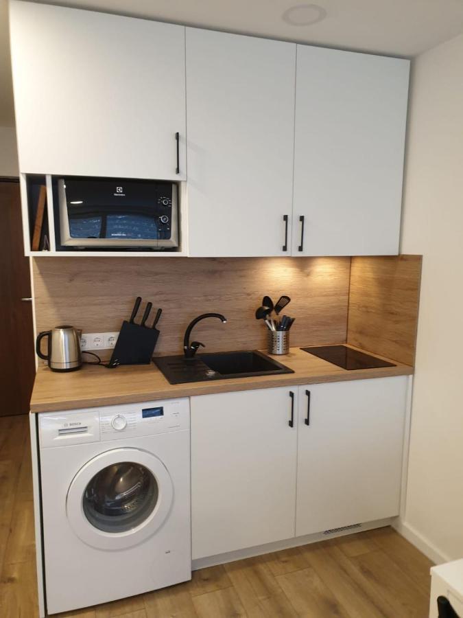 Studio Rent In Zarasai Eksteriør billede