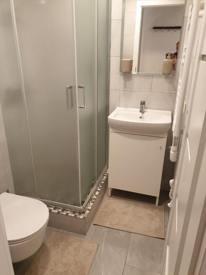 Studio Rent In Zarasai Eksteriør billede