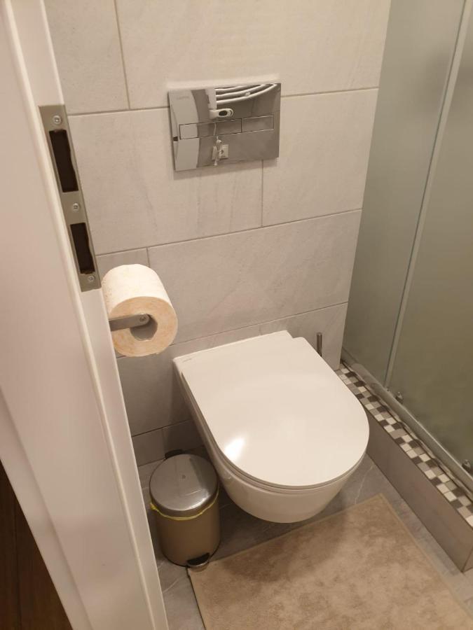 Studio Rent In Zarasai Eksteriør billede