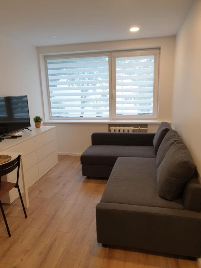 Studio Rent In Zarasai Eksteriør billede